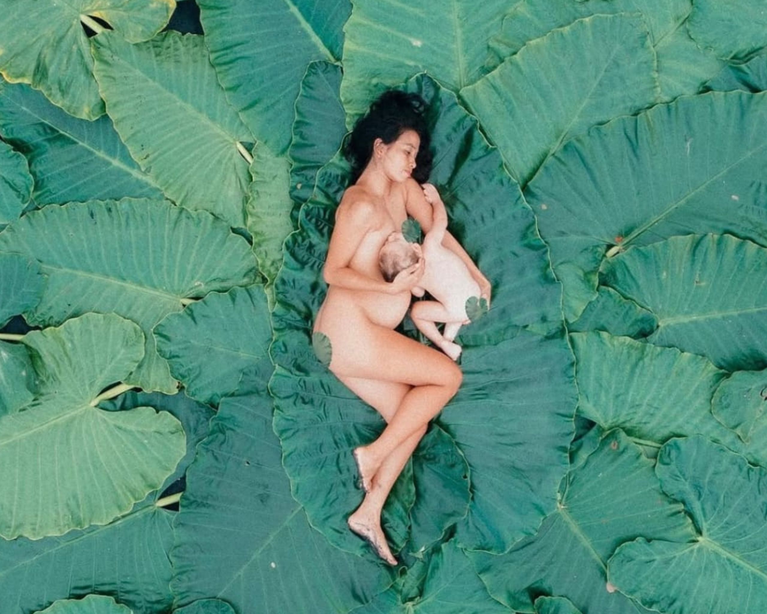 Wellness retreats in Indonesia inspired by Evy Novita and Bali landscape design